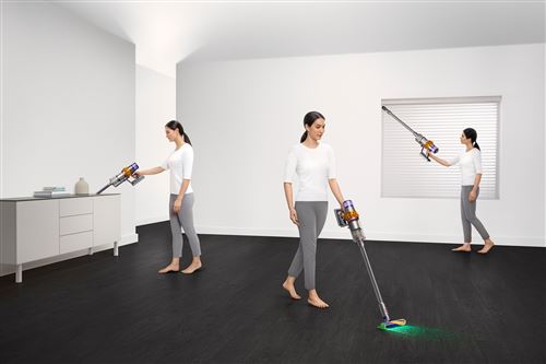 Dyson Aspirateur balai V15 Detect Absolute Gris et Violet